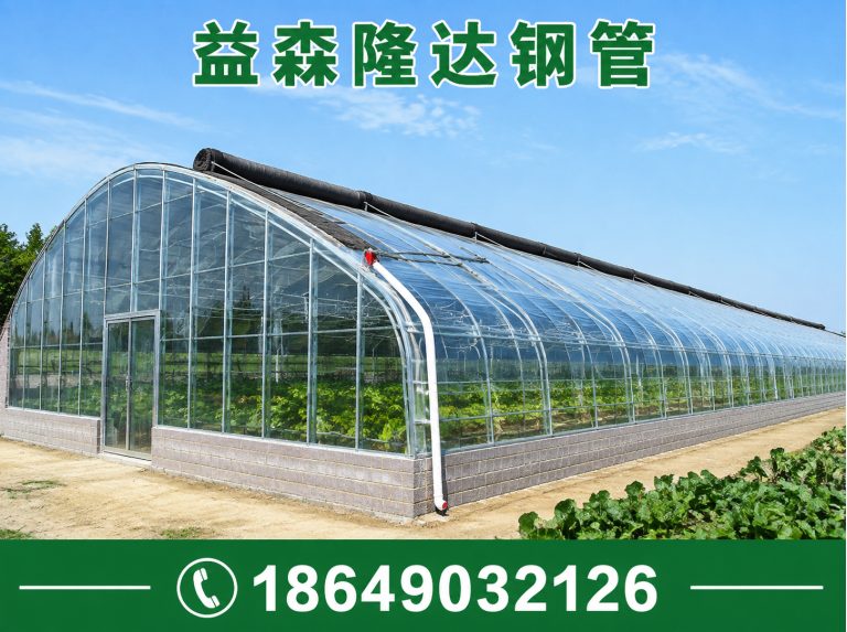 天津日光温室大棚，连栋温室大棚，单体大棚，塑料大棚，育苗大棚，养殖大棚展示图